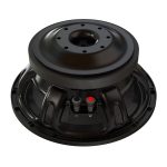 P AUDIO 12 FT 100 MB