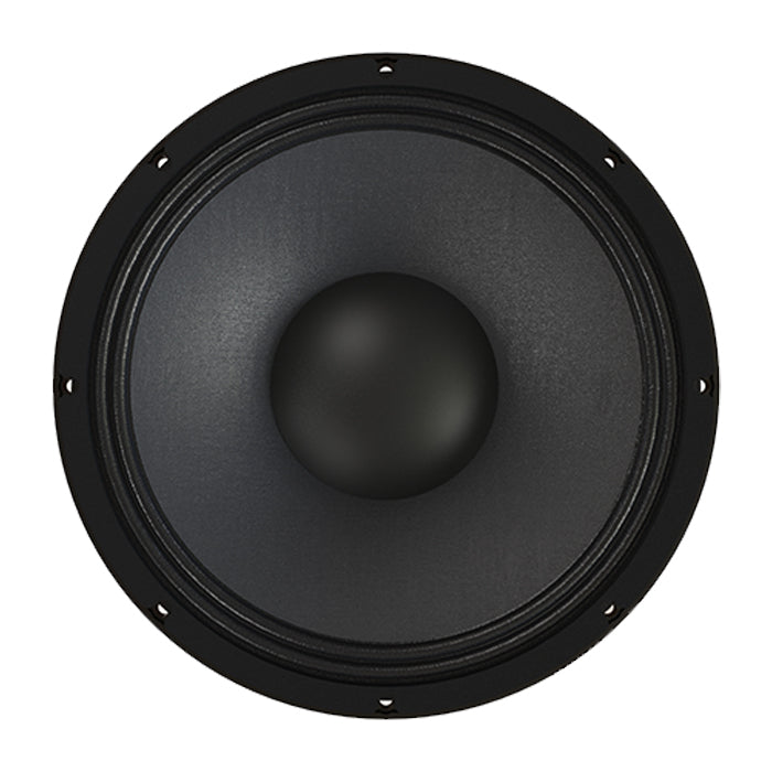 P AUDIO 12 FT 100 MB